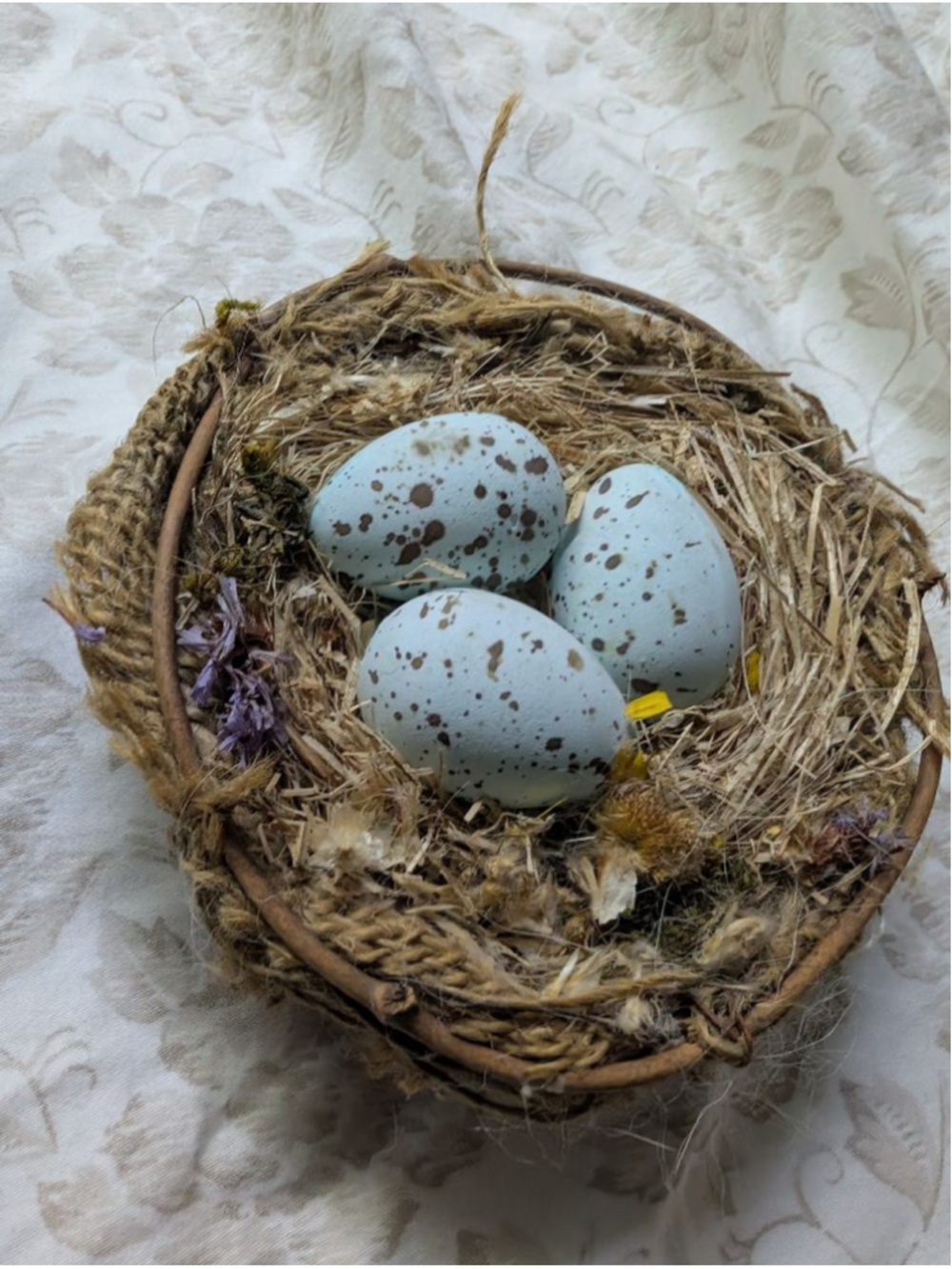Home Decor Bird Nest with Blue Eggs Brown